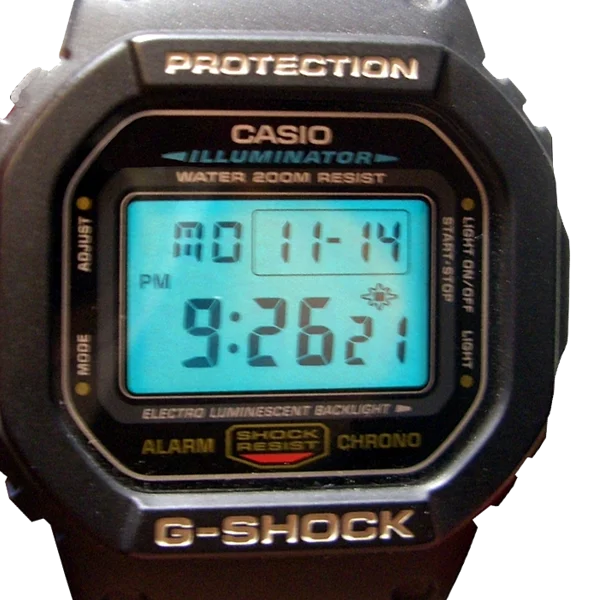 Casio G-Shock DW-5600E-1V
